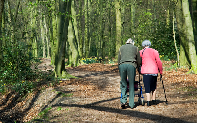 excerise and joint pain joint pain